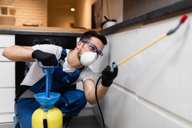 Best Affordable Pest Control Services  in Olton, TX