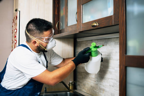 Best Best Pest Control Companies  in Olton, TX