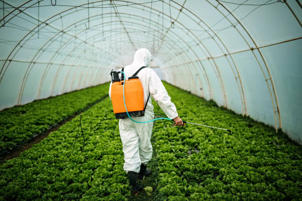 Pest Control for Restaurants in Olton, TX