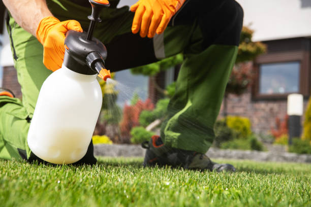 Best Termite Control Services  in Olton, TX