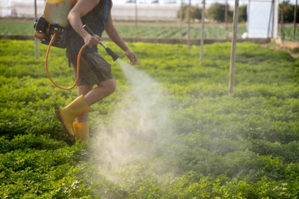 Best Affordable Pest Control Services  in Olton, TX