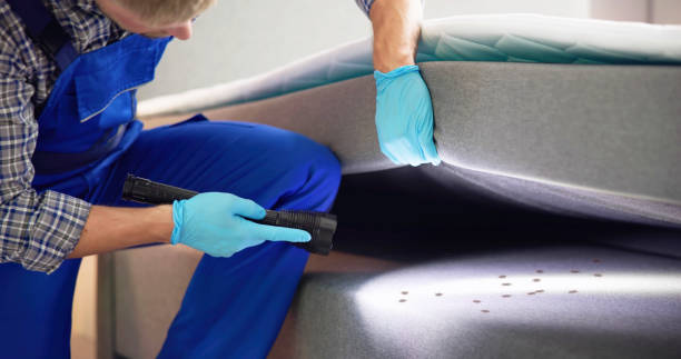 Pest Control Cost in Olton, TX