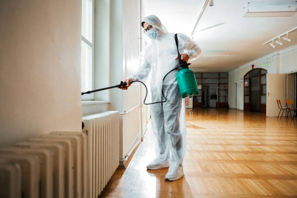 Best Local Pest Control Services  in Olton, TX