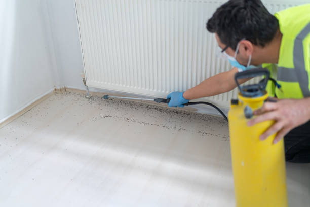 Best Residential Pest Control  in Olton, TX