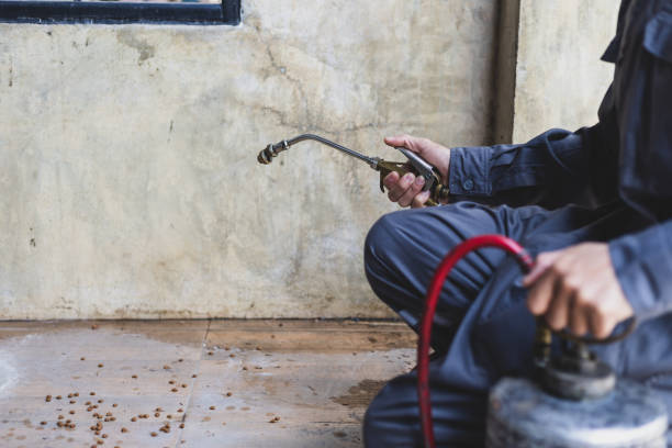 Best Commercial Pest Control Services  in Olton, TX