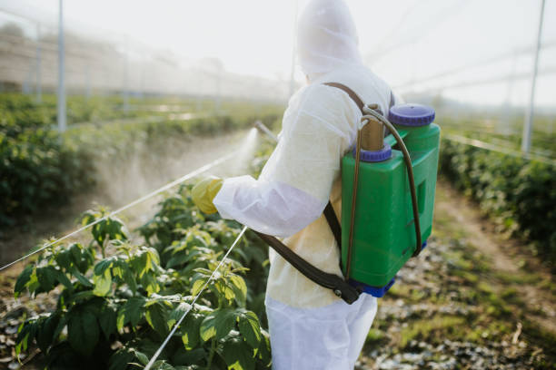 Best Pest Control Near Me  in Olton, TX